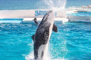 Kamogawa Sea World Hotel Δωμάτιο φωτογραφία
