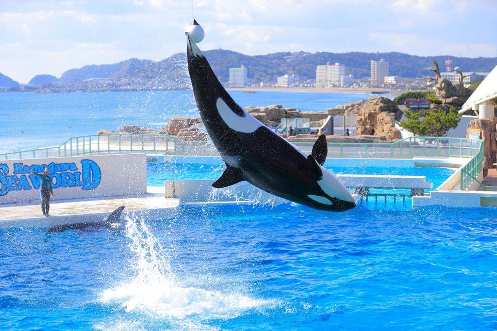 Kamogawa Sea World Hotel Εξωτερικό φωτογραφία