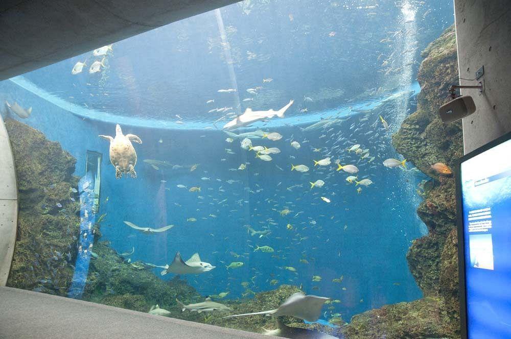 Kamogawa Sea World Hotel Εξωτερικό φωτογραφία