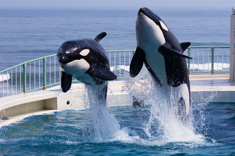Kamogawa Sea World Hotel Εξωτερικό φωτογραφία