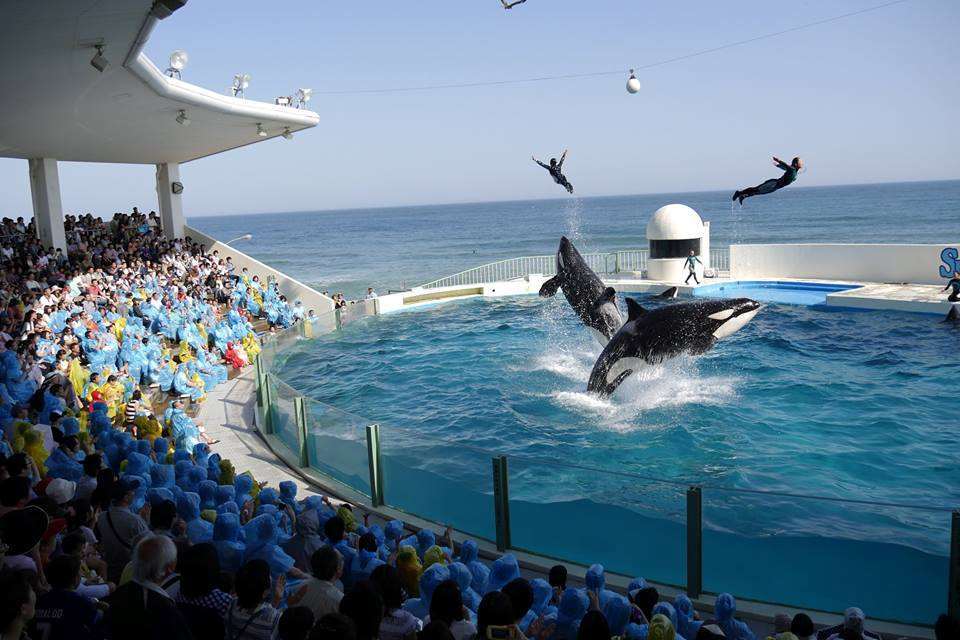 Kamogawa Sea World Hotel Ανέσεις φωτογραφία