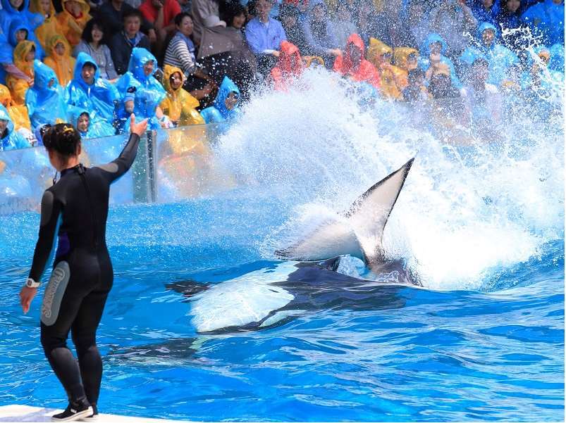 Kamogawa Sea World Hotel Ανέσεις φωτογραφία